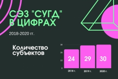 Зелено-розовая инфографика стартапа с диаграммами