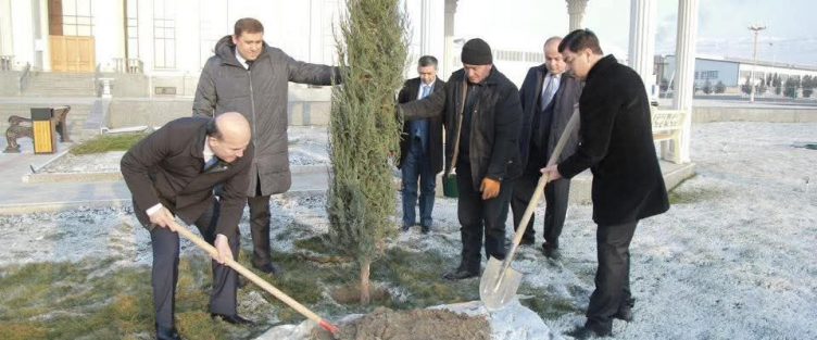 МАЪРАКАИ ШИНОНИДАНИ ДАРАХТОНИ ҲАМЕШАСАБЗ ВА АЁДАТИ СОБИҚАДОРОНИ МЕҲНАТ ДАР ДАРОМАДГОҲИ БИНОИ НАВИ МАЪМУРИЯТИ МОИ “СУҒД”